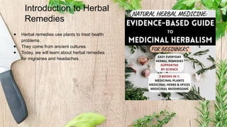 Herbal Remedies for Migraine and Headache.pptx