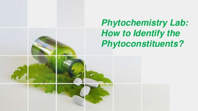 phytochemistry-lab-how-to-identify-the-phytoconstituents