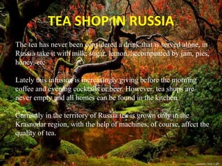 TEA SHOP IN RUSSIA
The tea has never been considered a drink that is served alone, in
Russia take it with milk, sugar, lemon, accompanied by jam, pies,
honey, etc
Lately this infusion is increasingly giving before the morning
coffee and evening cocktails or beer. However, tea shops are
never empty and all homes can be found in the kitchen.
Currently in the territory of Russia tea is grown only in the
Krasnodar region, with the help of machines, of course, affect the
quality of tea.
 