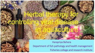 Herbal therapy for
controlling viral disease
in aquaculture
Harapriya Behera
Department of fish pathology and health management
Fisheries college and research institute
 