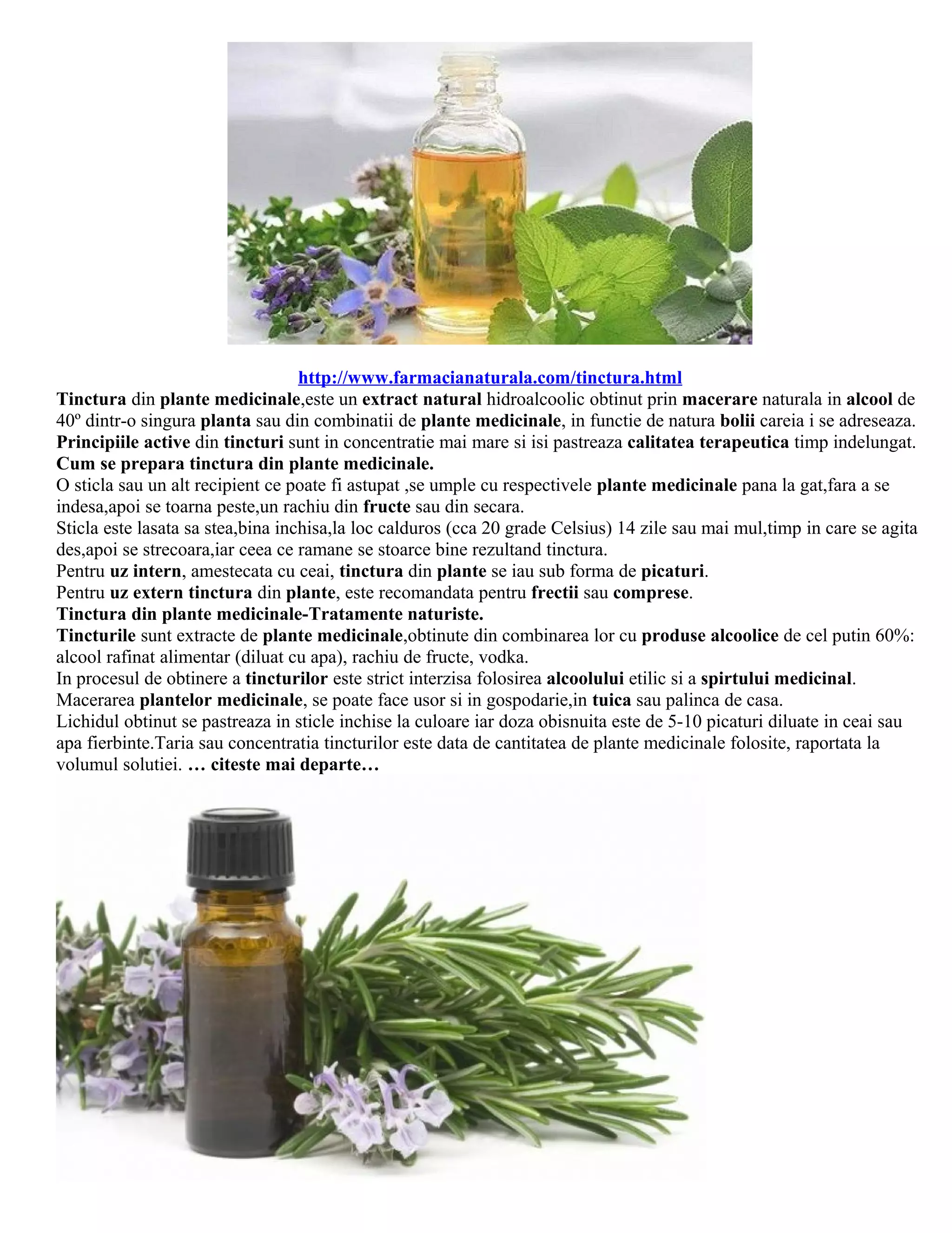 Herbal Healing: The Definitive List Of Tinctures (Pdf Included) - 8oh6m6k