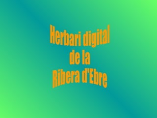 Herbari digital  de la  Ribera d'Ebre 