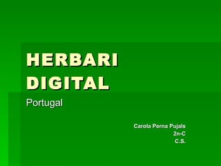 HERBARI DIGITAL Portugal Carola Perna Pujals 2n-C C.S. 