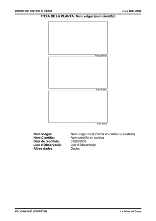 CRÈDIT DE SÍNTESI 1r d’ESO                                                 curs 2007-2008

                   FITXA DE LA PLANTA: Nom vulgar (nom científic)




                                                       Foto general




                                                        Foto Fulles




                                                         Foto detall




             Nom Vulgar:             Nom vulgar de la Planta en català / (i castellà)
             Nom Científic:          Nom científic en cursiva
             Data de recollida:      01/03/2008
             Lloc d’Observació:      Lloc d’Observació
             Altres dades:           Dades




IES JOAN PUIG I FERRETER                                                  La Selva del Camp
 
