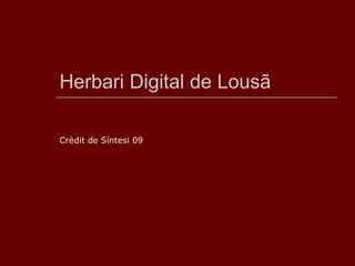 Herbari Digital de Lousã Crèdit de Síntesi 09 