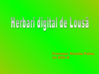 Herbari digital de Lousã Francesc Nicolas Palau 2n ESO-B 