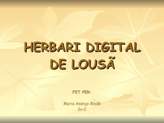 HERBARI DIGITAL DE LOUSÃ FET PER: Maria Asenjo Bladé 2n C 