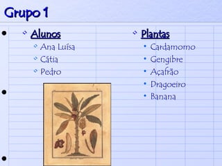 Grupo 1 Alunos Ana Luísa Cátia  Pedro  Plantas Cardamomo Gengibre  Açafrão Dragoeiro  Banana   