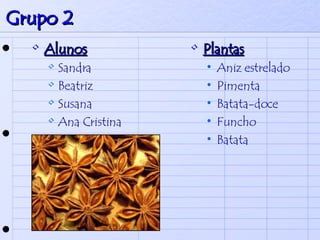 Grupo 2 Alunos Sandra  Beatriz Susana Ana Cristina  Plantas Aniz estrelado Pimenta  Batata-doce Funcho  Batata  