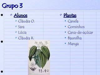 Grupo 3 Alunos Cláudia O. Sara Lúcia  Cláudia R.  Plantas Canela  Cominhos Cana-de-açúcar Baunilha Manga  
