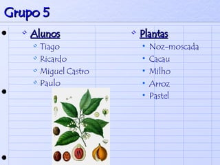 Grupo 5 Alunos Tiago  Ricardo Miguel Castro  Paulo   Plantas Noz-moscada  Cacau Milho  Arroz  Pastel   
