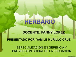 DOCENTE: FANNY LOPEZ

PRESENTADO POR: YAMILE MURILLO CRUZ

    ESPECIALIZACION EN GERENCIA Y
  PROYECCION SOCIAL DE LA EDUCACION
 
