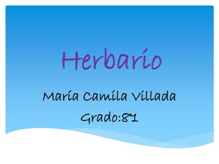 Herbario
María Camila Villada
Grado:8°1
 
