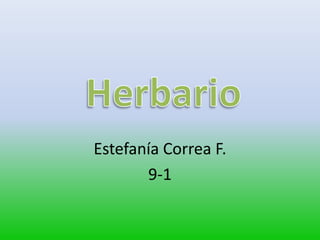 Estefanía Correa F.
9-1
 