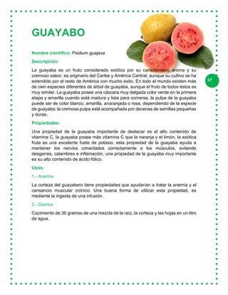 17
GUAYABO
Nombre científico: Psidium guajava
Descripción:
La guayaba es un fruto considerado exótico por su característico aroma y su
cremoso sabor, es originario del Caribe y América Central, aunque su cultivo se ha
extendido por el resto de América con mucho éxito. En todo el mundo existen más
de cien especies diferentes de árbol de guayaba, aunque el fruto de todos éstos es
muy similar. La guayaba posee una cáscara muy delgada color verde en la primera
etapa y amarilla cuando está madura y lista para comerse, la pulpa de la guayaba
puede ser de color blanco, amarilla, anaranjada o rosa, dependiendo de la especie
de guayaba; la cremosa pulpa está acompañada por decenas de semillas pequeñas
y duras.
Propiedades:
Una propiedad de la guayaba importante de destacar es el alto contenido de
vitamina C, la guayaba posee más vitamina C que la naranja y el limón, la exótica
fruta es una excelente fuete de potasio, esta propiedad de la guayaba ayuda a
mantener los nervios conectados correctamente a los músculos, evitando
desgarres, calambres e inflamación, una propiedad de la guayaba muy importante
es su alto contenido de ácido fólico.
Usos:
1.- Anemia
La corteza del guayabero tiene propiedades que ayudarían a tratar la anemia y el
cansancio muscular crónico. Una buena forma de utilizar esta propiedad, es
mediante la ingesta de una infusión.
2.- Diarrea
Cocimiento de 30 gramos de una mezcla de la raíz, la corteza y las hojas en un litro
de agua.
 