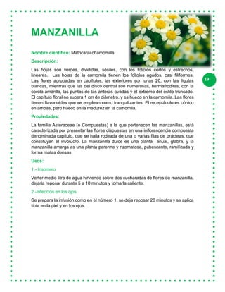 19
MANZANILLA
Nombre científico: Matricarai chamomilla
Descripción:
Las hojas son verdes, divididas, sésiles, con los foliolos cortos y estrechos,
lineares. Las hojas de la camomila tienen los foliolos agudos, casi filiformes.
Las flores agrupadas en capítulos, las exteriores son unas 20, con las lígulas
blancas, mientras que las del disco central son numerosas, hermafroditas, con la
corola amarilla, las puntas de las anteras ovadas y el extremo del estilo truncado.
El capítulo floral no supera 1 cm de diámetro, y es hueco en la camomila. Las flores
tienen flavonoides que se emplean como tranquilizantes. El receptáculo es cónico
en ambas, pero hueco en la madurez en la camomila.
Propiedades:
La familia Asteraceae (o Compuestas) a la que pertenecen las manzanillas, está
caracterizada por presentar las flores dispuestas en una inflorescencia compuesta
denominada capítulo, que se halla rodeada de una o varias filas de brácteas, que
constituyen el involucro. La manzanilla dulce es una planta anual, glabra, y la
manzanilla amarga es una planta perenne y rizomatosa, pubescente, ramificada y
forma matas densas
Usos:
1.- Insomnio
Verter medio litro de agua hirviendo sobre dos cucharadas de flores de manzanilla,
dejarla reposar durante 5 a 10 minutos y tomarla caliente.
2.-Infeccion en los ojos
Se prepara la infusión como en el número 1, se deja reposar 20 minutos y se aplica
tibia en la piel y en los ojos.
 