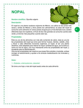 20
NOPAL
Nombre científico: Opuntla vulgaris
Descripción:
El nopal es una planta cactácea originaria de México, se cultiva en las zonas más
secas y áridas de México y otros países de Latinoamérica, la pulpa del nopal se
consume como alimento en varios países al igual que su fruto llamado tuna; existen
diferentes tipos de nopaleras, el fruto de las más grandes se consume cuando está
verde y el de las más pequeñas cuando está rojo.
Propiedades:
Éste es uno de los alimentos con más alto contenido de calcio, ésta es una de
las propiedades del nopal que sirve para formar huesos, dientes, cabello, uñas
y llevar a cabo diferentes funciones orgánicas, el nopal, al ser una planta
desértica, está adaptada para retener la mayor cantidad de agua, por lo tanto su
carne es rica en agua, una muy interesante entre las propiedades del nopal, y
excelente para la deshidratación.
Otra de las propiedades del nopal es que posee fibra soluble e insoluble, ambas
corrigen el estreñimiento y ayudan a la correcta metabolización de minerales y
nutrientes.
Usos:
1.- Diabetes, arteriosclerosis, obesidad
Se toma una hoja o más del nopal asado antes de cada alimento
 