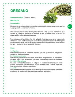 21
ORÉGANO
Nombre científico: Origanum vulgare
Descripción:
Propiedades:
El consumo de orégano tiene muchos beneficios que te pueden sorprender, y entre
sus propiedades podemos mencionar:
Propiedades antioxidantes: El orégano contiene Timol y Ácido rosmarinico que
ayudan al cuerpo a disminuir los efectos de los radicales libres, que son los
responsables del envejecimiento celular
Propiedades anti fungicidas: ha sido utilizado históricamente como preservante
alimenticio y sus credenciales para combatir hongos es impresionante. El orégano
ha sido exitosamente utilizado en preparaciones tomadas y aplicadas para combatir
hongos y levaduras como la cándida albicans.
Usos:
1.- Digestivo
Él te de orégano es un excelente digestivo, ya que ayuda con la indigestión,
flatulencia, vómitos y diarrea.
2.- Infecciones urinarias
Él te de orégano también es usado para aliviar los problemas de infecciones
urinarias, infecciones bronquiales, glándulas inflamadas y afecciones similares.
3.- Dolor, inflamaciones
La pasta hecha de hojas secas de orégano es usada exitosamente para tratar
dolores particulares del reumatismo, artritis, inflamaciones, picazón, músculos
inflamados y otros dolores musculares.
4.- Acné
El aceite esencial de orégano es usado en conjunto con jabón líquido para tratar
problemas de acné y espinillas, debido a su efecto antibiótico.
 