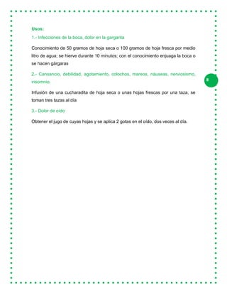 8
Usos:
1.- Infecciones de la boca, dolor en la garganta
Conocimiento de 50 gramos de hoja seca o 100 gramos de hoja fresca por medio
litro de agua; se hierve durante 10 minutos; con el conocimiento enjuaga la boca o
se hacen gárgaras
2.- Cansancio, debilidad, agotamiento, colochos, mareos, náuseas, nerviosismo,
insomnio.
Infusión de una cucharadita de hoja seca o unas hojas frescas por una taza, se
toman tres tazas al día
3.- Dolor de oído
Obtener el jugo de cuyas hojas y se aplica 2 gotas en el oído, dos veces al día.
 