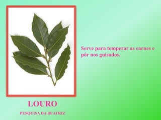 Serve para temperar as carnes e pôr nos guisados.LOUROPESQUISA DA BEATRIZ