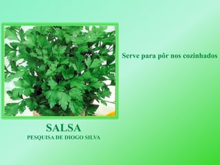 Serve para pôr nos cozinhadosSALSAPESQUISA DE DIOGO SILVA