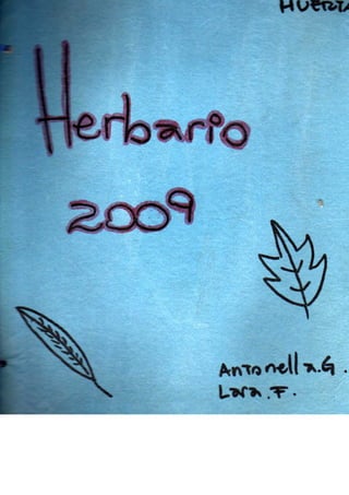 Herbario 2009 Antonela G Lara F001