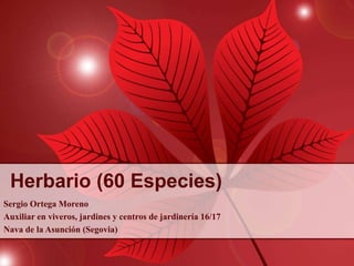 Herbario (60 Especies)
Sergio Ortega Moreno
Auxiliar en viveros, jardines y centros de jardinería 16/17
Nava de la Asunción (Segovia)
 
