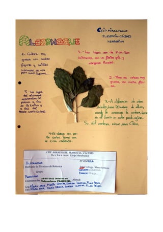 Herbario Dehesa de Valcorchero.