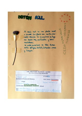 Herbario Dehesa de Valcorchero.