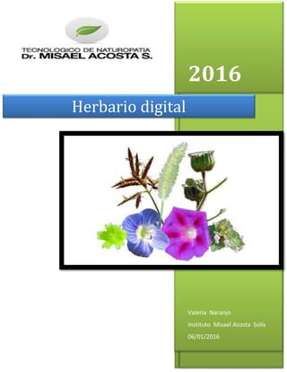 2016
Valeria Naranjo
Instituto Misael Acosta Solís
06/01/2016
Herbario digital
 