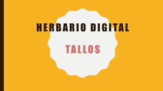 HERBARIO DIGITAL
TALLOS
 