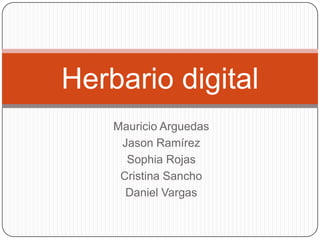Herbario digital
    Mauricio Arguedas
     Jason Ramírez
      Sophia Rojas
     Cristina Sancho
      Daniel Vargas
 