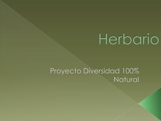 Herbario digital_ Marcelo, Sheila, Ronald, 4ºBD