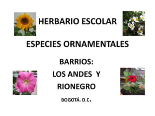 HERBARIO ESCOLAR

ESPECIES ORNAMENTALES
       BARRIOS:
     LOS ANDES Y
      RIONEGRO
       BOGOTÁ. D.C.
 