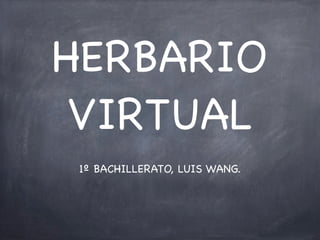 HERBARIO
 VIRTUAL
 1º BACHILLERATO, LUIS WANG.
 