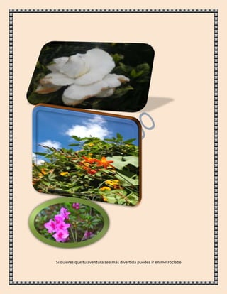 Si quieres que tu aventura sea más divertida puedes ir en metroclabe
 