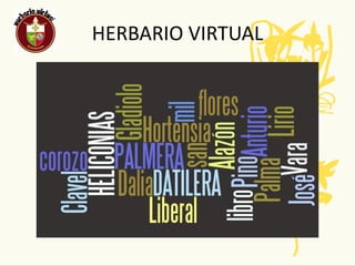 HERBARIO VIRTUAL
 