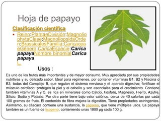 Hoja de papayo
Clasificación científica
 Reino:PlantaeDivisión:Magnolio
phytaClase:MagnoliopsidaOrde
n:BrassicalesFamilia:Caricacea
eGénero:CaricaEspecie:Carica
papayaNombre binomialCarica
papaya
L.
Usos :
Es uno de los frutos más importantes y de mayor consumo. Muy apreciada por sus propiedades
nutritivas y su delicado sabor. Ideal para regímenes, por contener vitaminas B1, B2 y Niacina o
B3, todas del Complejo B, que regulan el sistema nervioso y el aparato digestivo; fortifican el
músculo cardíaco; protegen la piel y el cabello y son esenciales para el crecimiento. Contiene
también vitaminas A y C, es rica en minerales como Calcio, Fósforo, Magnesio, Hierro, Azufre,
Silicio, Sodio y Potasio. Por otra parte tiene bajo valor calórico, cerca de 40 calorías por cada
100 gramos de fruta. El contenido de fibra mejora la digestión. Tiene propiedades astringentes.
Asimismo, su cáscara contiene una sustancia, la papaína, que tiene múltiples usos. La papaya
también es un fuente de licopeno, conteniendo unas 1800 μg cada 100 g.
 