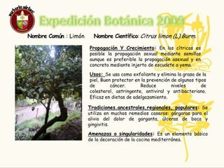 Expedición Botánica 2009LIMON