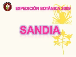 Expedición Botánica 2009Nombre Común: LimónNombre Científico: Citrus limon (L).Burm.Propagación Y Crecimiento: En los cítricos es posible la propagación sexual mediante semillas aunque es preferible la propagación asexual y en concreto mediante injerto de escudete a yema.Usos: Se usa como exfoliante y elimina la grasa de la piel, Buen protector en la prevención de algunos tipos de cáncer. Reduce niveles de colesterol, astringente, antiviral y antibacteriano. Eficaz en dietas de adelgazamiento.Tradiciones.ancestrales,regionales, populares:Se utiliza en muchos remedios caseros: gárgaras para el alivio del dolor de garganta, úlceras de boca y gingivitis.Planta CompletaAmenazas o singularidades: Es un elemento básico de la decoración de la cocina mediterránea.