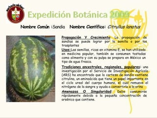 Expedición Botánica 2009SANDIA