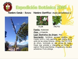ResponsablesNombre Completo: Ana Erazo Edad:14 añosCurso: 9-2Nombre Completo: Juliana CastroEdad: 14 añosCurso: 9-2