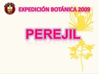 Expedición Botánica 2009Nombre Común : Banano   Nombre Científico: musa paradisiaca LPropagación y crecimiento: El banano es incapaz de producir semillas viables por lo que solo es posible su reproducción y perpetuación a través de la propagación vegetativa o asexual. Por tanto, las "semillas" utilizadas para la siembra corresponden a partes vegetativas tales como retoños y cormos o hijos.Usos:Sirve para aplicarlo como exfoliante en piel mixta y grasa. En el cabello da brillo y cuando te encuentras estresado te sirve como un des estresante. Como mascarilla para expulsar puntos negros encontrados en la nariz.Tradiciones ancestrales, regionales, populares: La hoja de plátano y banano se utiliza para envolver los tamales y también para alimento de los cerdos.Planta CompletaAmenazas O Singularidad: Estudios realizados en India han demostrado el poder del banano en prevención de ulceras gástricas.