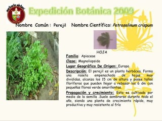 ResponsablesNombre Completo: Natalia Meneses Edad: 15 Curso: 9-2Nombre Completo: Melissa LópezEdad: 14Curso: 9-2