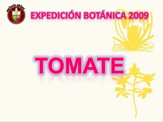 Expedición Botánica 2009Nombre  Común :  Perejil  Nombre Científico: PetroselinumcrispumUsos:Se utiliza para aclarar manchas de la piel y para el mal aliento Se usa pricipalmente como diurético. Además fortalece el sistema digestivo y ayuda a aliviar problemas del estómago y del hígado. Se recomienda también a las mujeres que tienen problemas premenstruales .Tradiciones ancestrales, regionales, populares: Comúnmente es utilizada para dar sabor a las comidas. Los romanos se los daban a los gladiadores antes de sus combatesAmenazas O Singularidad: Es una planta abundante en vitaminas A y C, y en minerales como hierro, y manganesoPlanta Completa