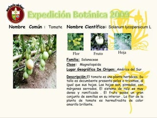 ResponsablesJohana Carolina Botina PiandaEdad: 15Curso: 9-2Ximena Nathaly Rangel Zambrano Edad: 14Curso: 9-2Bibliografía: www.biovirtual.unal.edu.cowww.plantasexfoliantes.com