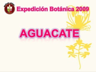 Expedición Botánica 2009Nombre  Común :  Tomate Nombre Científico: Solanumlycopersicum LPropagación Y Crecimiento: el tomate crece en clima cálido con una temperatura de 25 grados en el día, y en la noche entre 15 y 18 grados, no es exigente en cuanto al suelo aunque prefiere los sueltos y ricos en materia orgánica. se propaga por semillas. Usos:sirve para la desinflamación de los ojos, se lo utiliza también en cayos juanetes y verrugas, para las quemaduras del sol, controla dolores de cabeza, y para la hemorroides Tradiciones ancestrales, regionales, populares: su consumo habitual contribuye a reducir algunos tipos de cáncer como el de próstata, pulmón y previene el riesgo de padecer enfermedades cardiovasculares. Es rico en vitaminas para una dieta rica y sana.Amenazas o singularidades: La diversidad del tomate se ha perdido por los híbridos y transgénicos.