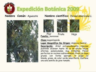 ResponsablesNombre Completo: Carolina OrdoñezEdad: 15Curso:9-2Nombre Completo: Loren RiveraEdad: 15Curso: 9-2Bibliografía: www.alimentacion.sana.com.ar
