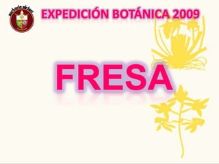 Expedición Botánica 2009Nombre Común: Pepino             Nombre Científico: CucumissativusDescripción: Puede realizarse siembra directa sobre el suelo o llevar las semillas al semillero en caso de que hubiera peligro de pérdidas en nascencia por las condiciones ambientales o por la presencia de topos, ratones, pájaros u otros. Usos:Se emplea con frecuencia crudo en las diversas cocinas del mundo como un ingrediente ensalada. Es un potente hidratante cutáneo gracias, entre otros, a sus vitaminas B y C, y por ello usado en diversas mascarillas o productos hidratantes para la piel.Tradiciones ancestrales,regionales, populares: El pepino es muy refrescante, calma la sed instantáneamente y provoca sueño.Amenazas o Singularidad : El pepino produce sustancias que inhiben el crecimiento de otras plantas adyacentes.