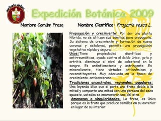 Expedición Botánica 2009FRESA